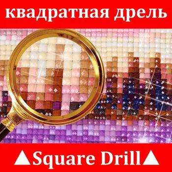 5D DIY diamond vezenje mačka v kopalnici polno kvadratnih diamond slikarstvo Navzkrižno Šiv Nosorogovo mozaik doma dekoracijo