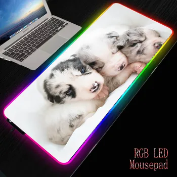 MRG Ljubek Pes Husky Živali Mouse Pad RGB Velike Mouse Pad Igralec XXL Miško Preprogo Big Mause Pad PC Mizo Igrajo Mat, Osvetljene