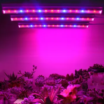 LED Grow Light Phytolamp Rastejo Šotor Svetilka T5 Cev 5W 10W 15W 20 W 25 W LED Rastline, Cvetje Rast Luč za Sejanje lončnica Lučka