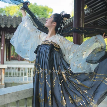 Ženske Kitajski Slog Tradicionalne Ljudske Plesne Kostum Za Orientalski Han Dinastije Pravljice Uspešnosti Hanfu Žerjav Pevka Natisnjeni Krilo Set
