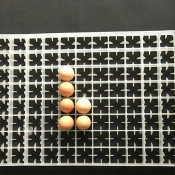 4 Kos 88 Jajca Inkubator Pladnji Kmetijske Mehanizacije Plastični Jajce Pladenj Samodejno Jajce Inkubator Pribor Valilna Dobave