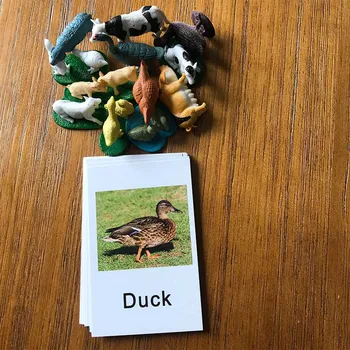 Monson jezik pripomočkov za poučevanje angleščine živali kartico seznanjanje model seznanjanje pripomočkov za poučevanje zgodnje poučevanje pismenosti igrače
