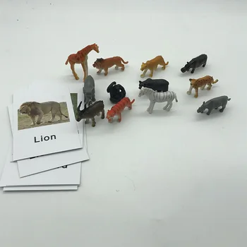 Monson jezik pripomočkov za poučevanje angleščine živali kartico seznanjanje model seznanjanje pripomočkov za poučevanje zgodnje poučevanje pismenosti igrače