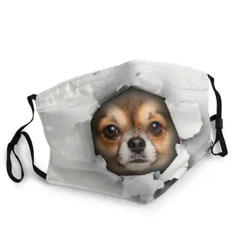 Srčkan Chihuahua Pes Obraz V Luknjo Masko Dustproof Non-Enkratno 3D Smešno Kuža Masko za Zaščito Respirator Usta-Žarilna