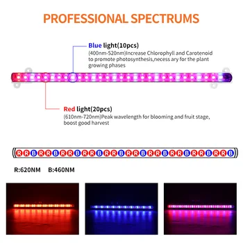 LED Grow Light 40W Celoten Spekter LED Lučka s Samosprožilcem, Nadzor Rastlin Phytolamp za Sadike Toplogrednih Rastejo Šotor