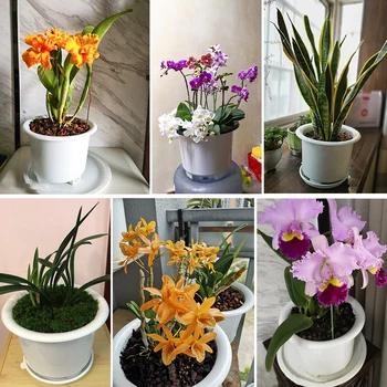 Meshpot 8 Cm Plastični Orhideja Lonec Z Luknjami,Dvojne Plasti Vrt Pot,Planter Posodo Koren Nadzor Patentne Tehnologije