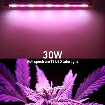 2PCS LED Grow Light Celoten Spekter T8 Cev 60 CM Notranji Obrat Lučka Hydroponic Toplogrednih LED Rast Palice za Rastline in Rože