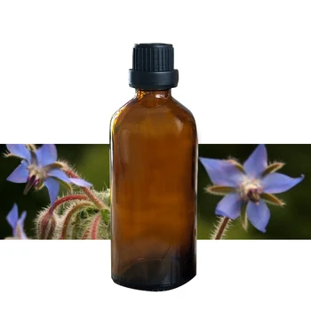 Borage in olje, čistega rastlinskega osnovna olja, eterična olja 100 ml Povečanje Prsi Rhytidectomy Anti - aging J9