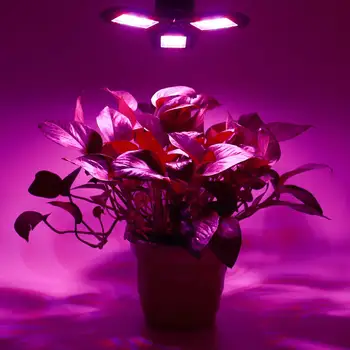 360 Vse Okrogle LED Ffs Žarnice E27 100W 200W 300W Celoten Spekter LED Grow Light Horticole Zaprtih Sadike Cvet, ki Raste Šotor Polje