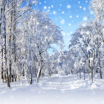 Laeacco Pozimi Sneg, Borov Gozd Snežinka Ozadje Naravne Panoramska Fotografija Ozadje Fotografsko Ozadje Photocall Foto Stuido