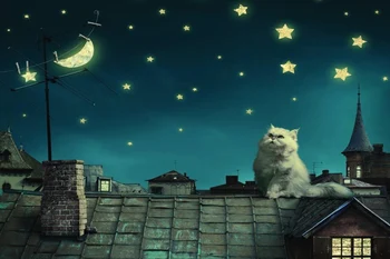 Mačka na Streho Noč, Zvezde na Nebu Zidana Zvitkih 3D Stenske Papir za Steno dnevna soba Stenski za Fotografijo, Slikarstvo moda za Gospodinjstvo