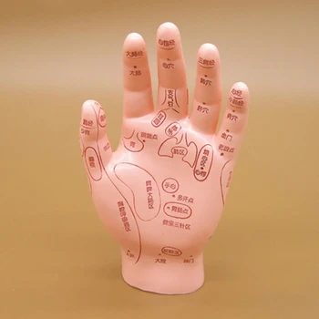1pcs 15 cm PVC Človeške Roke Model Ultra-clear Ročno Masažo Model Acupoint Masaža Model za Proučevanje Učnih Zaslonu Orodja