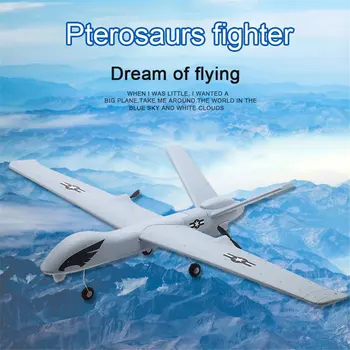Z51 Predator 2.4 G 2CH 660 mm Peruti, Daljinski upravljalnik RC Letalo Letalo Fiksno Krilo Padalo Brnenje z vgrajenim Žiro Otroci Božič Darilo