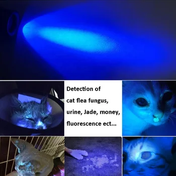 Prenosni 5W UV Svetilko 365nm LED Ultravijolično Svetlobo UV Svetilka baterijska Svetilka S Črno Filter za Objektiv Za Hišne Urina Denar Odkrivanje