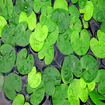 BEIBEHANG Osebnost 3D kopalnica fotografijo za ozadje nosljivi nepremočljiva zadebelitev non-slip samolepilne zelenih listov nadstropju moderne