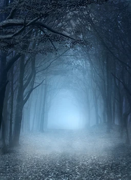 Fotografija ozadje temno skrivnostni gozd megleno noč Čarovnic temo ozadje fotografijo ozadja studio rekviziti W-1790