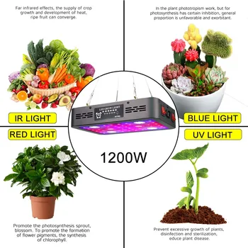 COB LED Grow Light Celoten Spekter 2400W Dvojno Čip Čas Rastejo Svetilke Toplogrednih Zaprtih Rastlin, Zelenjave Bloom Stikala