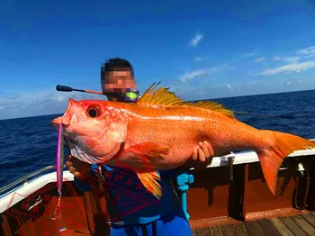 FUNADAIKO Deep sea fishing šablona lure hitro šablona 80 g 100 g 120 g 150 g svetlobna počasi jigging umetno kovinska šablona lure jigging lure