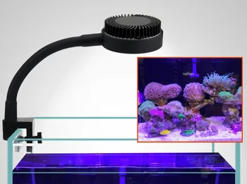 Zetlight LED luči ZN1010 1020 Celoten Spekter Koralni LED Lučka za morsko vodo Akvariju Sladkovodnih rib tank lučka