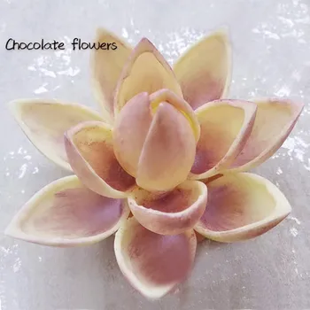 3D Lotus Obliki Polikarbonatne Čokolada Plesni Kuhinja Bakeware Sladkarije Plesni Torto Sladkarije PC Čokolada Kalup za Peko Peciva Orodja