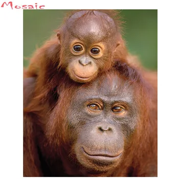Celoten kvadratni Diamond Vezenje živali orangutans slikarstvo nosorogovo 5D Diy Diamond Slike opica Navzkrižno Šiv,mozaik, dekor