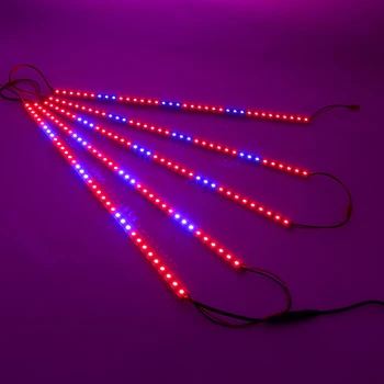 5pcs/veliko LED gojenje Rastlin Luči Naraščajoče Lučka 0,5 M Rdeča+Modra DC12V 10w Phytolamp Sadika Svetlobe Bari Trakovi za Notranje Hydroponics