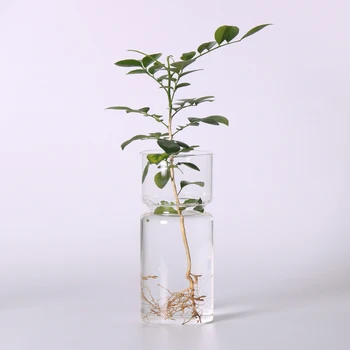 Jasno Hyacinth Steklena Vaza Cvet Planter Pot DIY Terarija Posodo Mikro Krajine Pravljice Vrt DIY Terarija Namizne Dekoracije