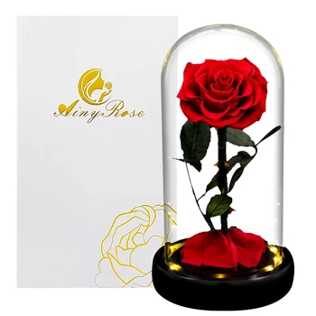 Večno Rose Lepotica in Zver Rose Večno Umetno Cvetje Noč Svetlobe V Stekleno Kupolo, Božič, Valentinovo Poročno Darilo