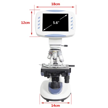 5MP 200X Povečavo-5000X Strokovno elektronski digitalni HD Biološki Lab Mikroskop s 6,5-palčnim LCD fotoaparata Pomnilniško kartico USB vmesnik