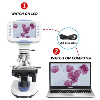 5MP 200X Povečavo-5000X Strokovno elektronski digitalni HD Biološki Lab Mikroskop s 6,5-palčnim LCD fotoaparata Pomnilniško kartico USB vmesnik