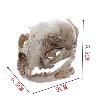 Realno Mačka Lobanje Smolo Replika Poučevanja Skelet Modela Akvarij Ornament
