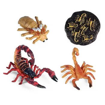 4Pcs DIY Simulacije Živali ABS figuric Scorpion Fazi Pajek Krokodil Trdna Življenjskega Ciklusa Rasti Nastavite Igrače za Otroke Darilo