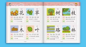 Novo Otrok Učenja Kitajski Knjigi 600 Besed, Znakov, Mandarin z Pinyin Baby Začetku Izobraževalne Knjige