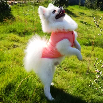 Velika oblačila za pse povodec luknjo pozimi Topla puhovka Psiček Obleko Telovnik Yorkie Chihuahua Oblačila Za Zlati Prinašalec Snowproof
