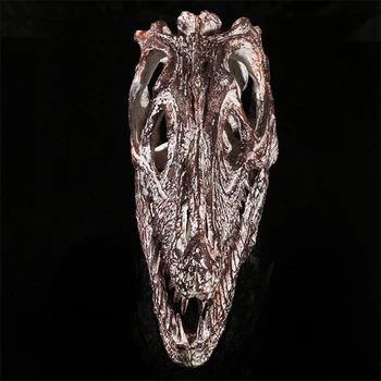 Model Razstava smolo obrtna razstava siva Raptor ročno dinozaver lobanje model KLGT012