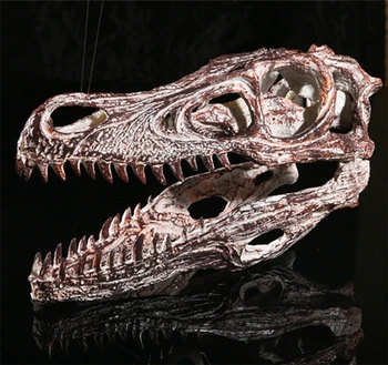 Model Razstava smolo obrtna razstava siva Raptor ročno dinozaver lobanje model KLGT012
