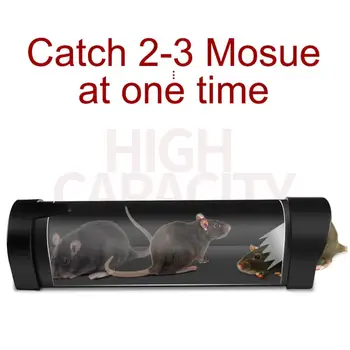 Miši Morilec Podgana V Pasti Lepilo Lova Zatiranje Škodljivcev Miši Mouse Trap Pribor Vrt Na Prostem Kuhinja