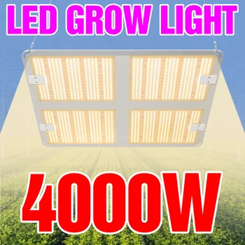 LED Grow Light Celoten Spekter Žarnice LED 300W 500W 1000W 2000W 4000W Rastlin Lučka za Rast Svetlobe LED Toplogrednih Razsvetljavo Kvantni Odbor