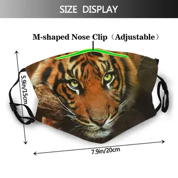 Tiger Večkratno Uporabo Usta Masko Živali Dustproof Maske Z Filtri, Zaščitni Pokrov Respirator Usta Žarilna