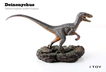 Itoy Jurassic Dinozaver Model Vstajenje Velociraptor Antirrhopus Stari bioloških Odraslih Zbiranje igrač
