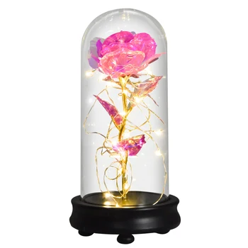 Dropshipping Galaxy Rose Večno Zlato Folijo Cvetje V Stekleno Kupolo z LED Luči Darila za Valentinovo materinski Dan Poroke Dekor